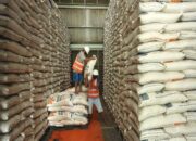 Bulog Targetkan Beras Satu Harga di Seluruh Indonesia Jika Sukses Serap 4 Juta Ton Beras