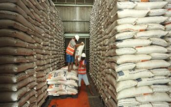 Ilustrasi stok beras. (net)