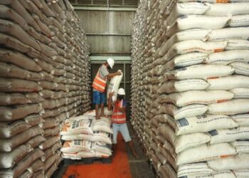 Ilustrasi stok beras. (net)