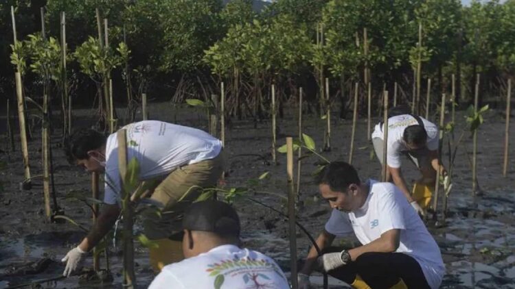 Sejumlah relawan menanam pohon bakau dalam program pelestarian lingkungan di kawasan Taman Hutan Rakyat (Tahura) Ngurah Rai, Denpasar, Bali, Kamis (2/6/2022). ANTARA FOTO/Nyoman Budhiana/wsj.