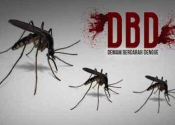 ilustrasi DBD
