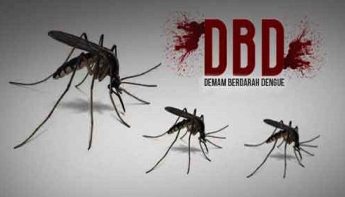 DBD jadi KLB di Sungai Aur, Pemkab Pasaman Barat Gencarkan PSN dan Fogging