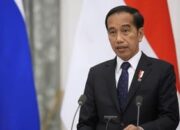 Solusi Krisis Pangan, Jokowi Minta Tanam Cabai di Pekarangan