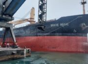 Persaingan Makin Ketat, PT Semen Padang Tingkatkan Kinerja Ekspor