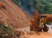 Tolong Benahi Kawasan Sitinjau Lauik Pak Gubernur!