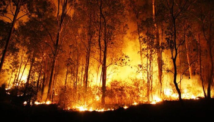 Tolak Bantuan Asing, BNPB: Penanganan Karhutla masih Bisa Mandiri
