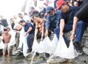 Begini Proses Pembiakan Bilih di Danau Singkarak