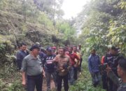 Jalan Kaki Tembus Hutan, Gubernur Sumbar Tinjau Jalan Alternatif di Agam