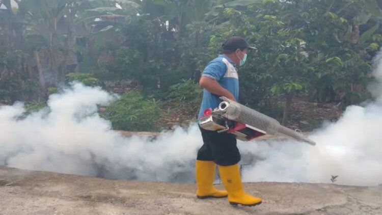 Dua Orang di Agam Meninggal karena DBD, Januari-Agustus Ada 162 Kasus 1 Petugas sedang melakukan pengasapan. (ANTARA/Ari Yusrizal)