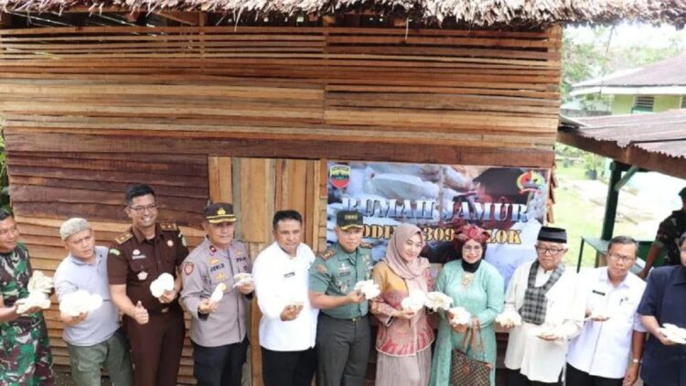 Kodim 0309/Solok saat meluncurkan budi daya jamur tiram (ANTARA/HO-Kodim 0309/Solok)