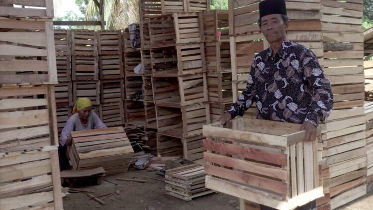 M Jinis dan usaha peti buahnya dengan modal nol rupiah hingga omset Rp4 juta perhari yang dibantu CSR Semen Padang