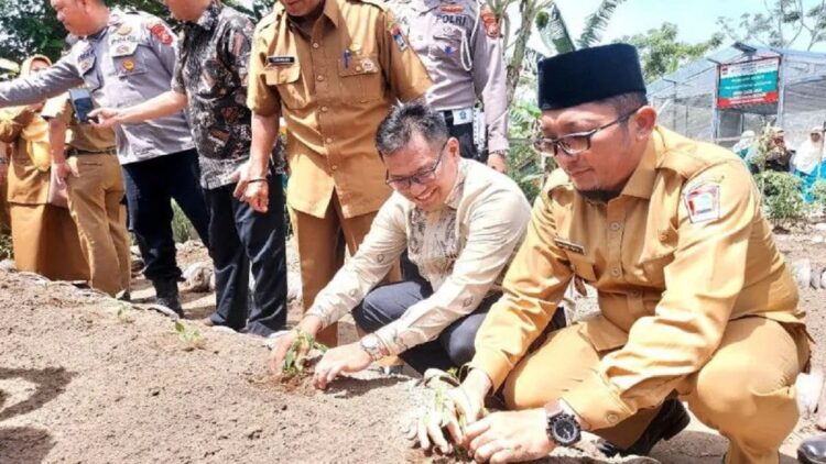 Wali Kota Padang Hendri Septa (kanan) bersama Kepala BI perwakilan Sumbar Wahyu Purnama (kiri) menanam bibit cabai Kelompok Wanita Tani Rose Melati Kelurahan Parupuk Tabing, Kecamatan Koto Tangah Padang, Senin. (Antara/Ikhwan Wahyudi)