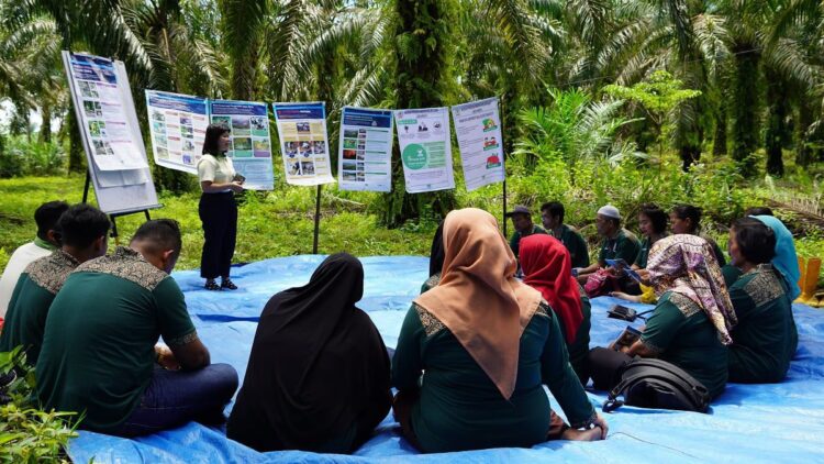 Musim Mas Buka Akses Petani Swadaya Jual Minyak Sawit ke Pasar Global 1 Program Training for Smallholders berupaya meningkatkan mata pencaharian petani swadaya dengan mengintegrasikan mereka ke dalam rantai pasokan minyak sawit berkelanjutan. (Foto: Musim Mas)