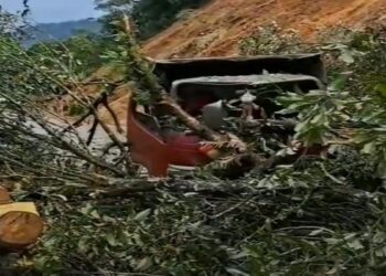 Pohon Tumbang Timpa Truk di Sitinjau Lauik, Jalur Padang-Solok Terganggu