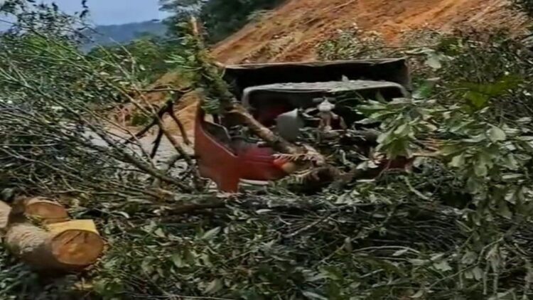 Pohon Tumbang Timpa Truk di Sitinjau Lauik, Jalur Padang-Solok Terganggu 1 Pohon tumbang di kawasan Sitinjau Lauik membuat akses lalulintas terputus. (IST)