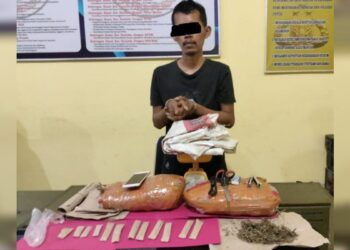 Dua Pengedar Dibekuk, Polres Pessel Sita Dua Paket Besar Ganja Kering