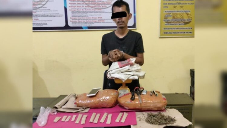 Polres Pessel menangkap pengedar ganja bersama barang bukti 2 paket besar siap edar. (IST)