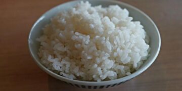 ilustrasi nasi putih