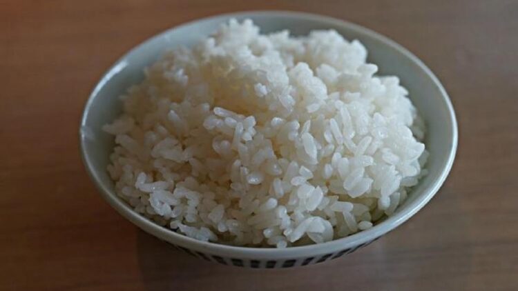 ilustrasi nasi putih