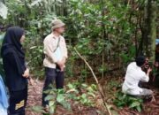 BKSDA Sumbar Pasang Kamera Jebak di Lokasi Ternak Warga Diserang Hewan Liar di Agam