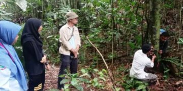 BKSDA Sumbar Pasang Kamera Jebak di Lokasi Ternak Warga Diserang Hewan Liar di Agam