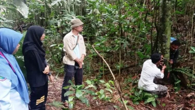 Petugas Resor KSDA Maninjau memasang kamera jebak di lokasi ternak warga dimangsa satwa. (ANTARA/Resor KSDA Maninjau)