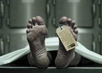 Tertusuk Moncong Ikan Marlin, Nelayan di Situbondo Tewas