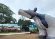 Lassy Dairy Farm di Agam, Berkembang lewat Konsep Rekreasi, Edukasi dan Konsumsi Susu Sapi