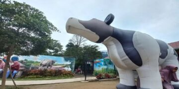 Lassy Dairy Farm di Agam, Berkembang lewat Konsep Rekreasi, Edukasi dan Konsumsi Susu Sapi