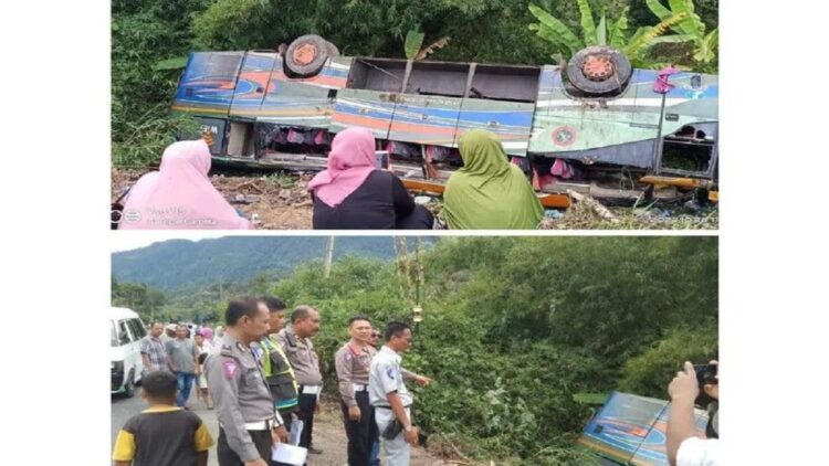 Bus ALS Masuk Jurang di Tapanuli Selatan, Seorang Santri Tewas 1 Bus ALS terbalik di Tapanuli Selatan (ANTARA/HO)