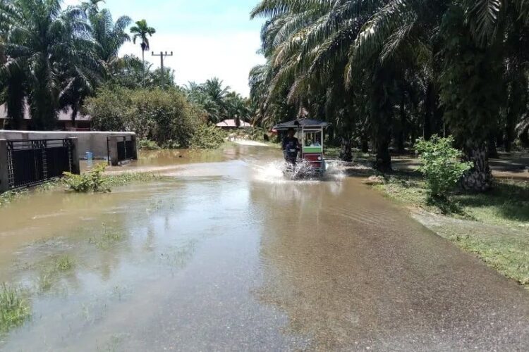 Kondisi luapan air Sungai Batang Masang menggenangi jalan.