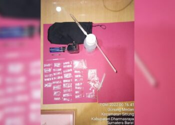 Tangkap Pengedar Narkoba di Dharmasraya, Polisi Sita 30 Paket Sabu