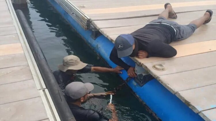 Rusak, Pemko Pariaman segera Perbaiki Dermaga Apung di Pulau Angso Duo 1 Petugas dari Pemerintah Kota Pariaman, Sumbar mengikat dermaga apung yang lepas karena tiangnya patah akibat bencana ke dermaga apung lainnya. (ANTARA/HO-Dinas Pertanian Pangan dan Perikanan Pariaman)