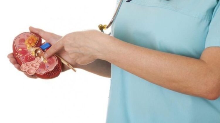 Gubernur Sumbar Minta Daerah Laporkan Kasus Mirip Gagal Ginjal Akut 1 IMG 20221019 WA0048