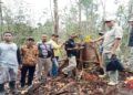 Polres-Polhut Pasbar Cek Temuan 2 Truk Kayu yang Diduga Hasil Illegal Logging