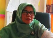 Perkuat Usaha, 3.289 UMKM di Solsel Diusulkan Terima BPUM