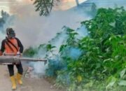 Sudah 52 Kasus DBD, Dinkes Solok Minta Warga Lakukan Hal Ini