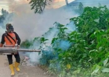 Sudah 52 Kasus DBD, Dinkes Solok Minta Warga Lakukan Hal Ini