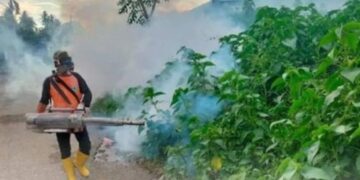 Sudah 52 Kasus DBD, Dinkes Solok Minta Warga Lakukan Hal Ini 8 Sudah 52 Kasus DBD, Dinkes Solok Minta Warga Lakukan Hal Ini