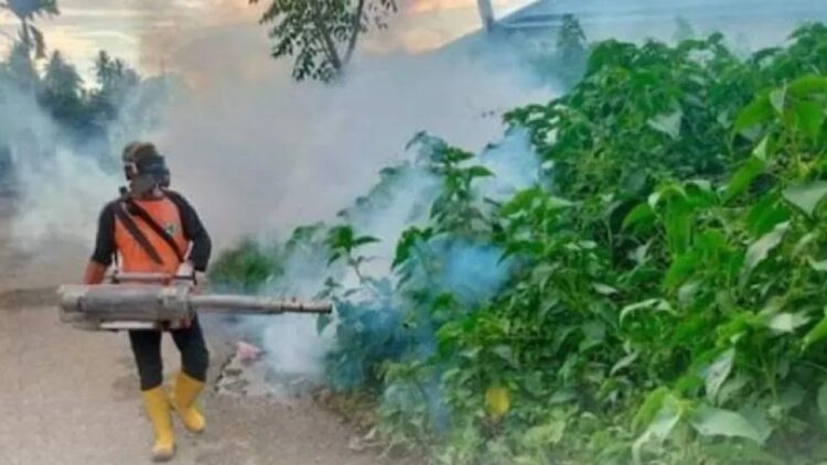 Seorang petugas sedang melakukan fogging di lingkungan perumahan di Kecamatan Kalukku, Kabupaten Mamuju, Senin (17/10/2022) ANTARA/M Faisal Hanapi