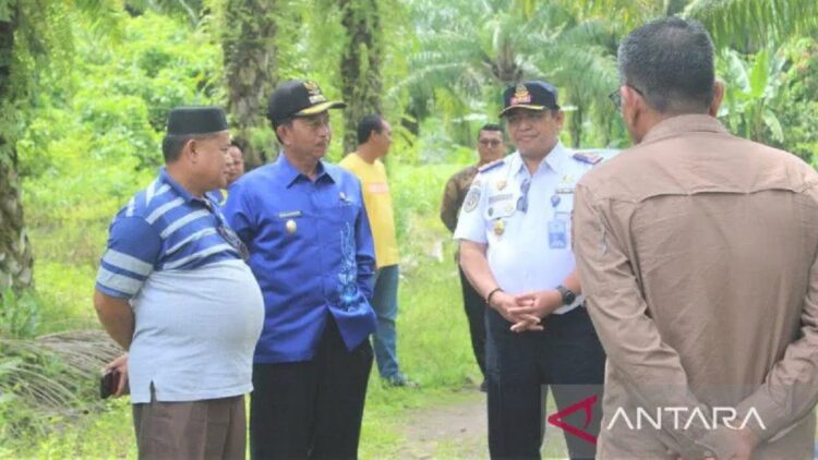 Pemkab Pasbar tinjau lokasi pembangunan jembatan timbang kendaraan