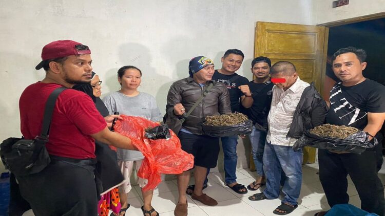 Polresta Padang menciduk pria baya karena memiliki ganja kering. (IST)