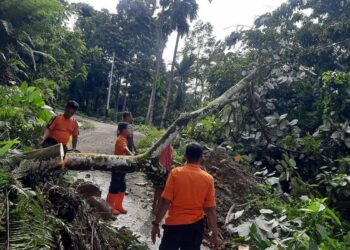 Hujan Deras Picu Longsor di Siguhung Agam, Akses Jalan Kabupaten Tertutup