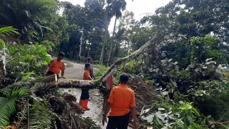 Hujan Deras Picu Longsor di Siguhung Agam, Akses Jalan Kabupaten Tertutup 1 BPBD Agam membersihkan material longsor di Jorong Siguhung yang menutupi jalan. (IST)