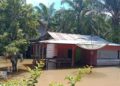 Banjir mengenangi halaman rumah warga di Gadiah Agiak, Nagari Tiku Lima Jorong. (Antara/Yusrizal)