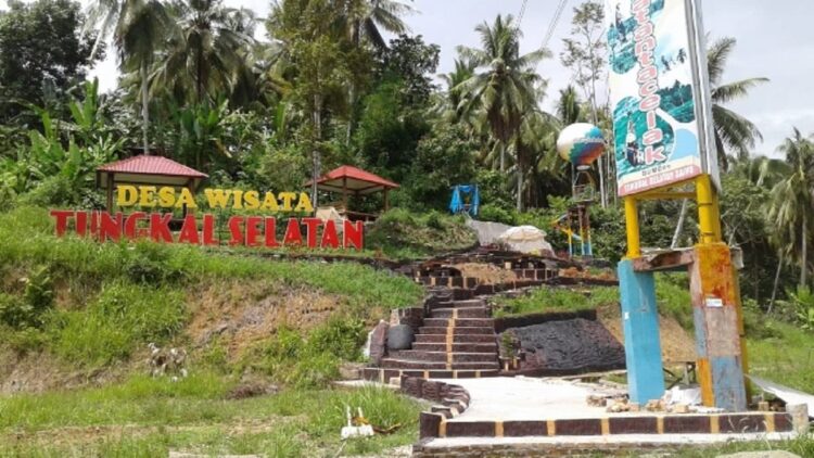 Pemkot Pariaman Targetkan Desa Wisata Punya Wahana Outbound 1 Desa wisata Tungkal Selatan yang cocok diberikan wahana outbound