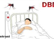 DBD Renggut 2 Nyawa di Pasaman Barat, Warga Diimbau Tingkatkan Kebersihan Lingkungan