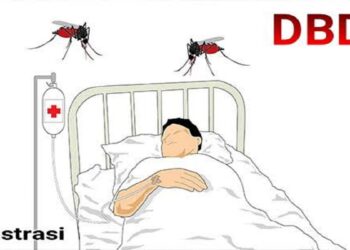 ilustrasi pasien DBD