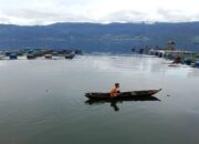 Kematian Benih Ikan di Danau Maninjau Capai Lima Ton