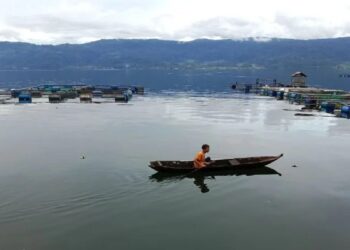Nelayan sedang berada di keramba jaring apung Danau Maninjau. (Antara)